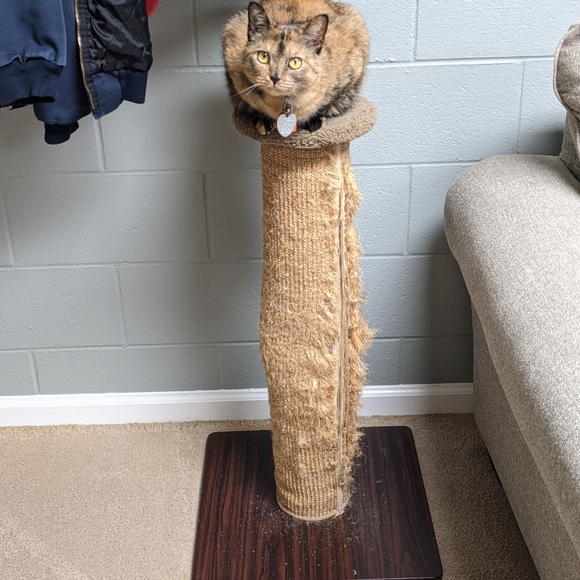 Meet your Posher, Christy - Picture 2 of 2